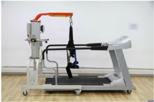 Body Weight Supported Treadmill Training - SCIRE Community