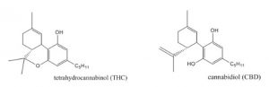The chemical structures of THC and CBD