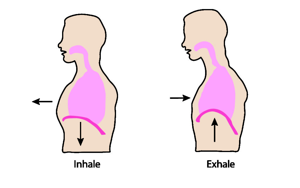 Respiratory Changes After Spinal Cord Injury - SCIRE Community