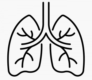 Cartoon lungs