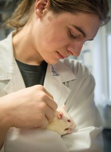 A scientist in a lab coat holding a white rat