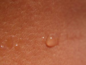 Droplets of sweat on skin