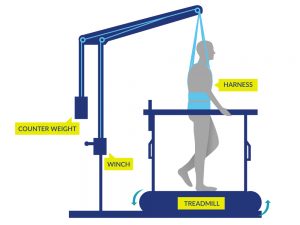 Illustration showing a person walking on a treadmill supported by a harness around their pelvis and waste attached to an overhead suspension system by straps. Suspension system is behind the treadmill and on the other side has an off-weighting system labelled 'weight' and a height adjustable winch.
