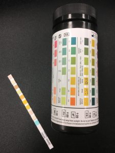 Picture of dipstick test strip beside black storage bottle with label for interpreting results